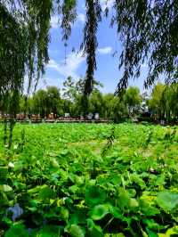 【雲南·大觀公園】之旅，第二彈