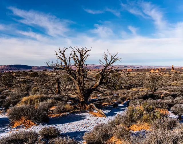 The benchmark of excellent national parks - Arches National Park