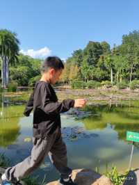 西雙版納中科院植物園，告莊出發攻略