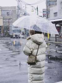 冬天到滋賀看雪景被京都的名氣耽誤的低調近鄰