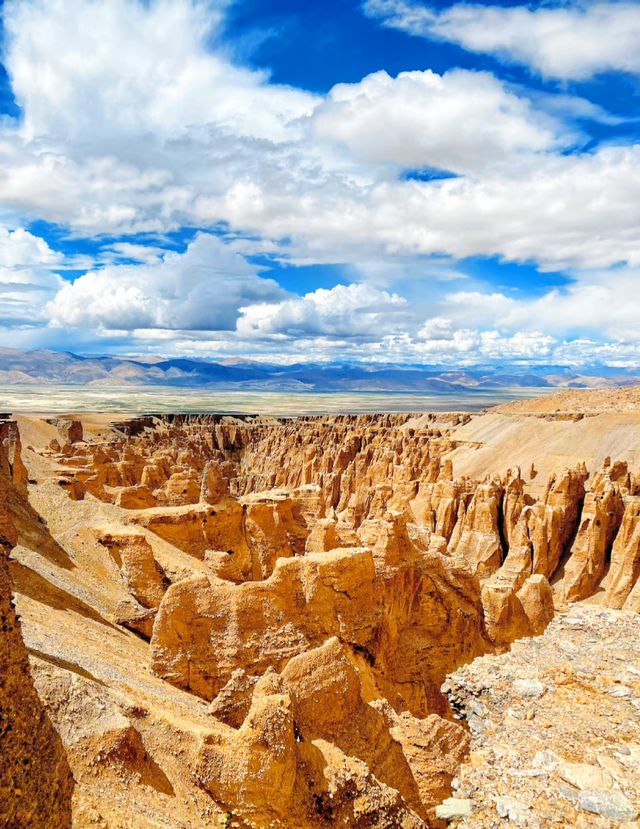 喜馬拉雅山脈下最美大地地裂，奇林峽