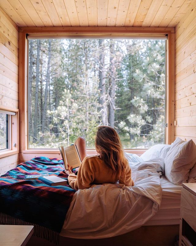 A Reader's Paradise: Where Would You Snuggle Up with a Book?