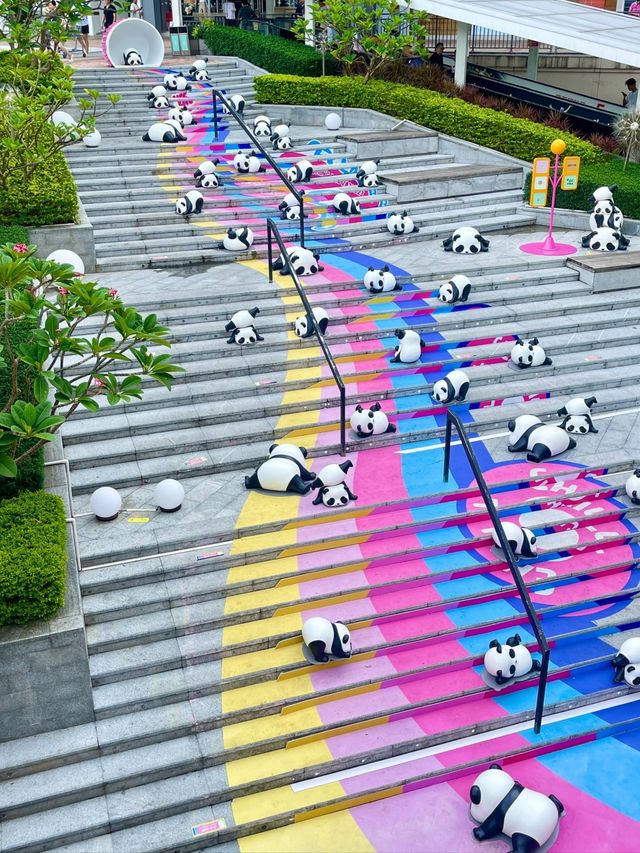 Panda Roll 華南首展印力中心
