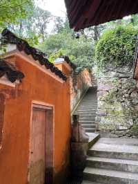 在稻子黃柿子紅的時節去國清寺啦