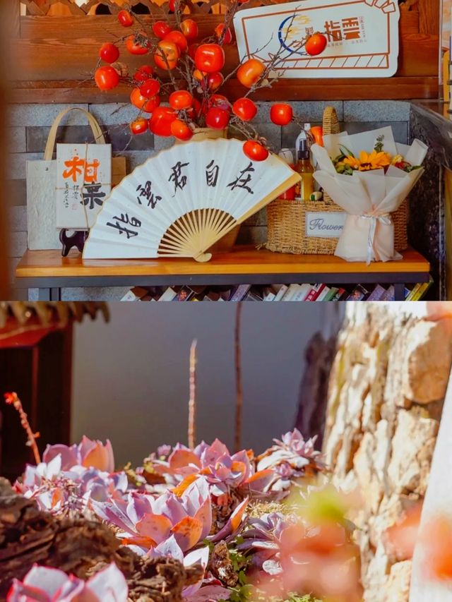 在民宿過夏天|麗江古城裡的寶藏民宿