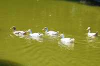 秋日打卡上海莊行（農藝）郊野公園