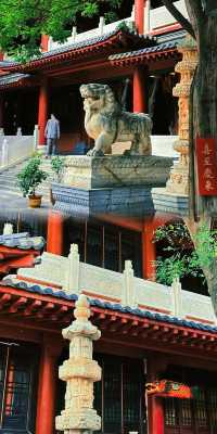 鄭州大觀音寺 | 一方淨土  三柱清香