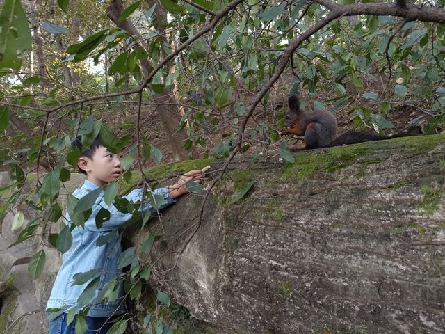 龍首山半日遊