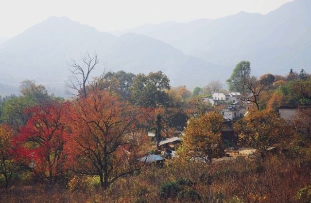 塔川初冬：秋色已逝，但寧靜與美麗依舊