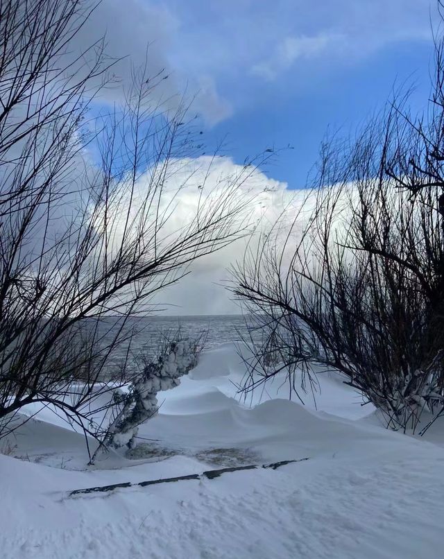 煙台養馬島風雪之後景色美爆了！
