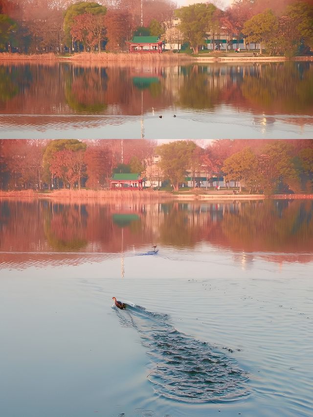 如何挖掘東湖的隱藏美景？