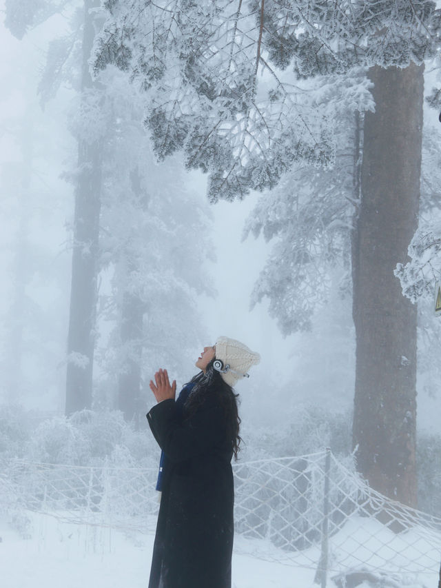 成都周邊冬日氛圍雪景大片！這裡下大雪啦～