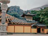 "迎新年好運：探秘柳州鳳山開山寺"