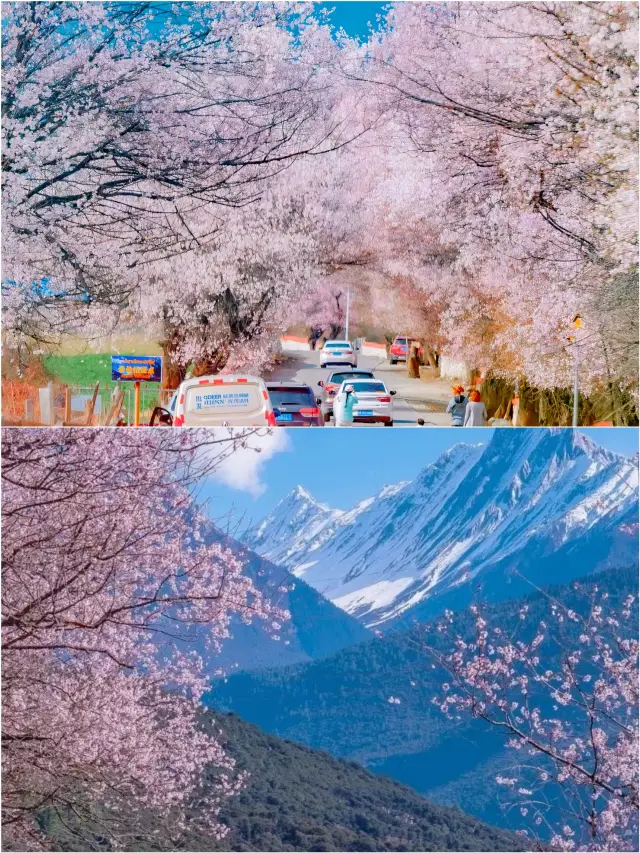 Nyingchi Peach Blossom Festival