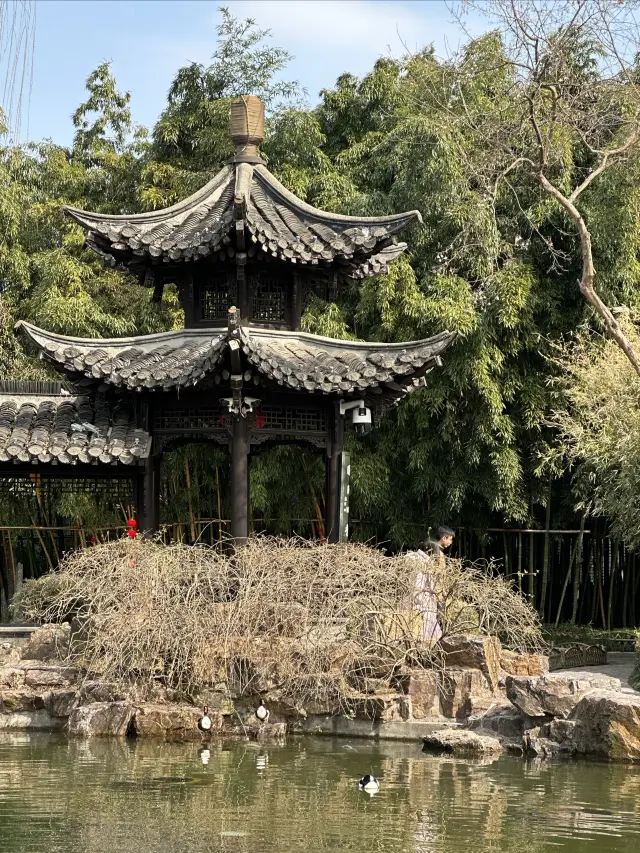 觀一園四季 閱百年滄桑