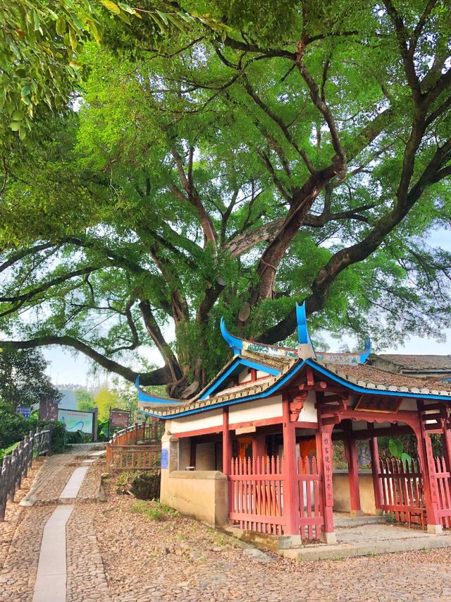 福建反向旅游三明遺世傳統古村|||福建冷門傳統古村