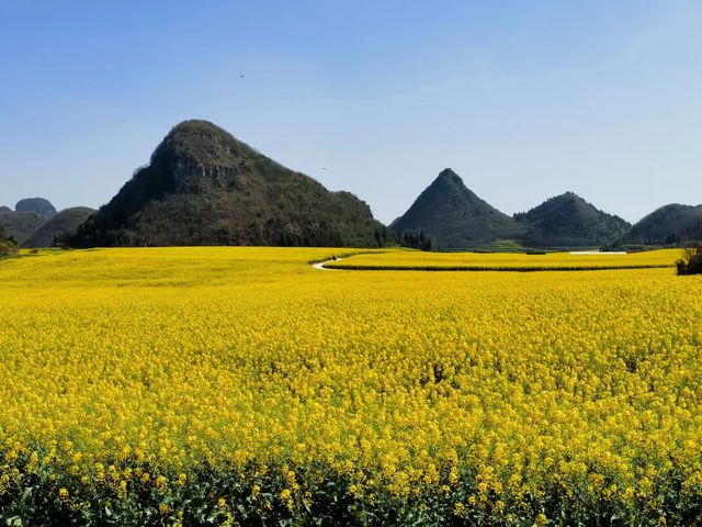 貴州萬峰林景區