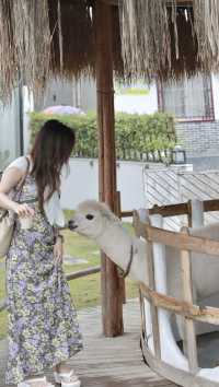 住在宮崎駿童話裡…還有動物陪玩