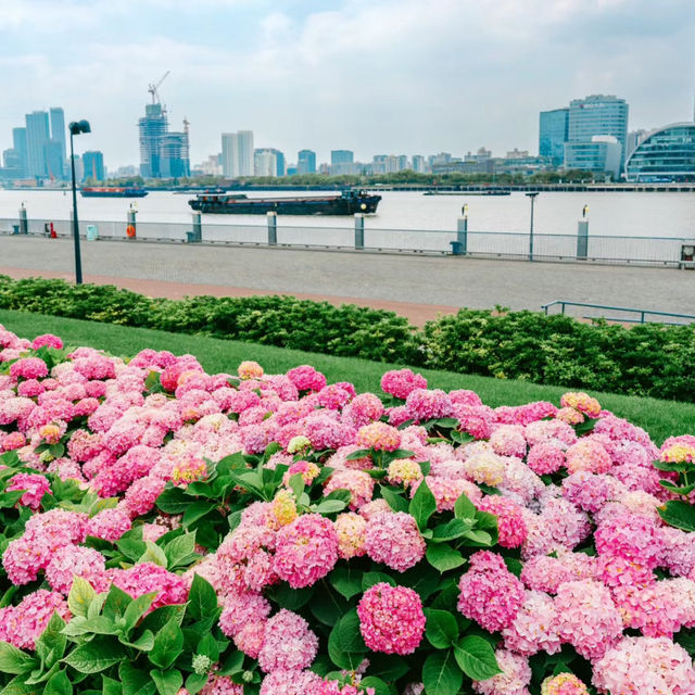 Your Trip to Shanghai