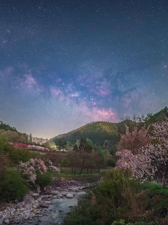 長野小眾賞櫻地，阿智村花桃之里