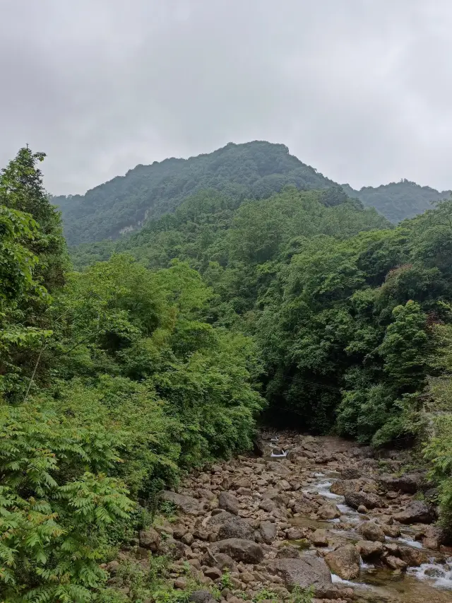 A hiking and oxygen-inhaling trip to the back mountain of Qingcheng