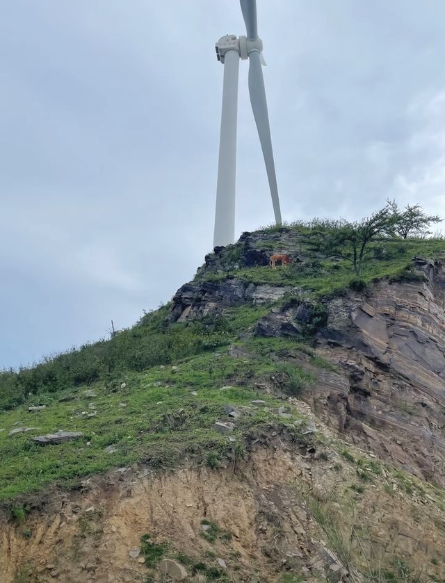 冠雲山也太……