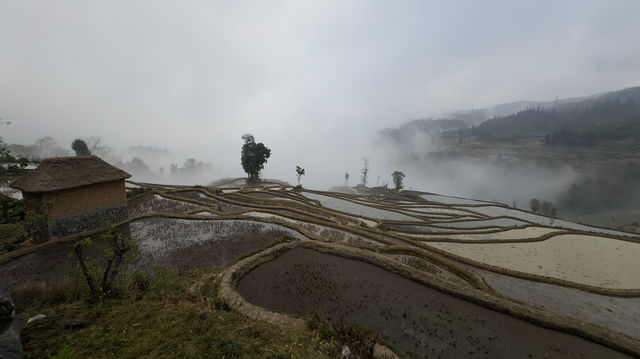 元陽梯田～～麻栗寨觀景台