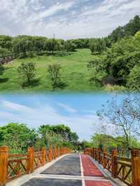 一家充滿生機勃勃的靈性公園