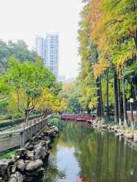 武漢漢陽公園｜免費的牡丹園