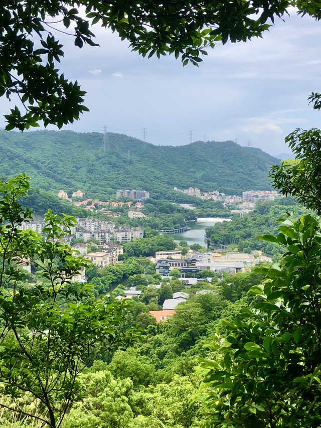 銀湖山郊野公園