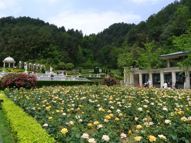 森林休閒勝地——貴陽登高雲山森林公園