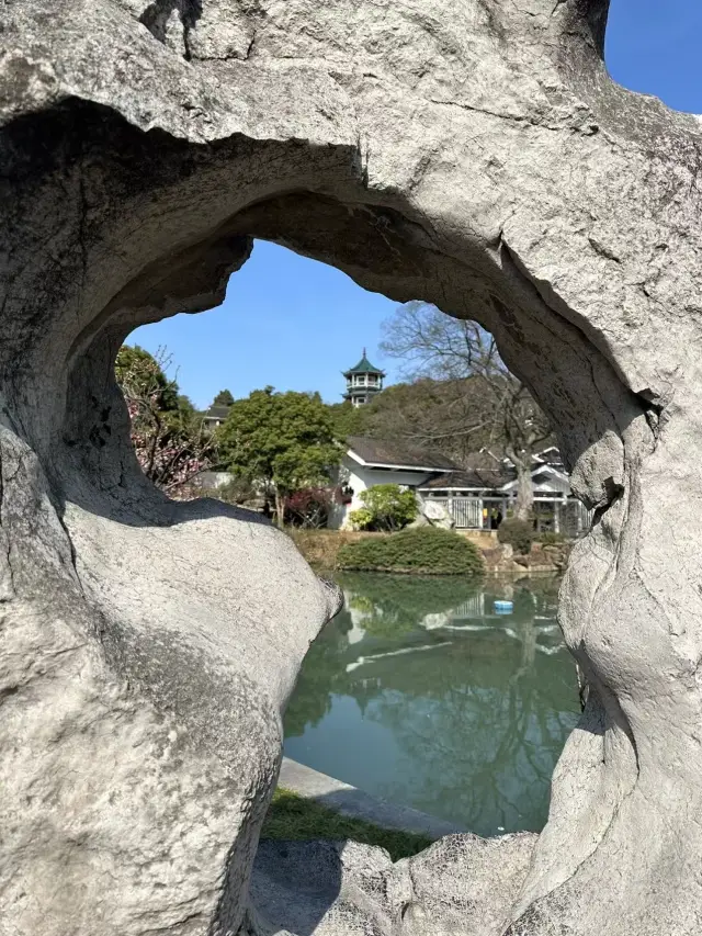 冬季時節，快來無錫梅園賞梅