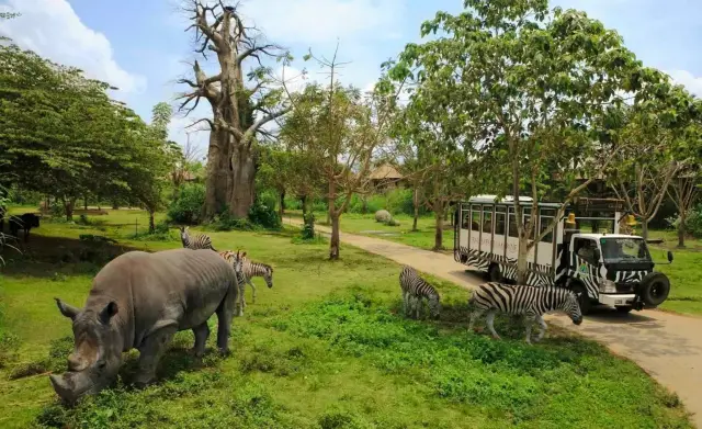 バンコクの野生動物園を訪れる