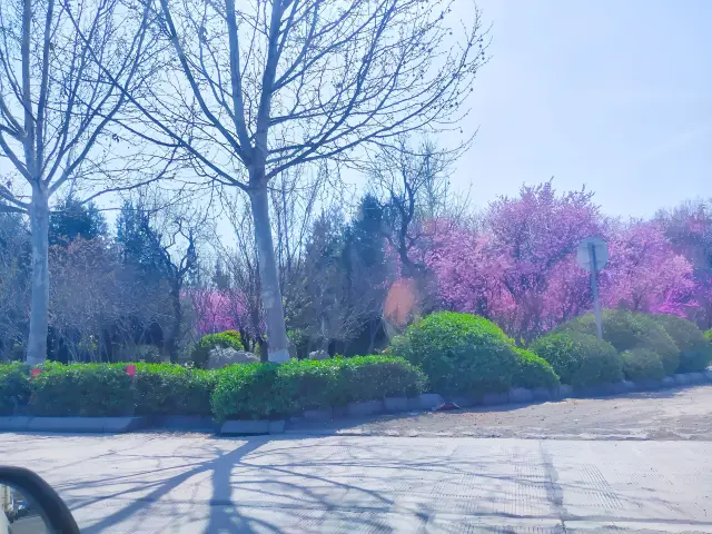 青州市博物館是一座綜合性博物館，其前身益都縣博物館始建於1959年，原址系清康熙年間文華殿大學士馮溥的宗祠改建