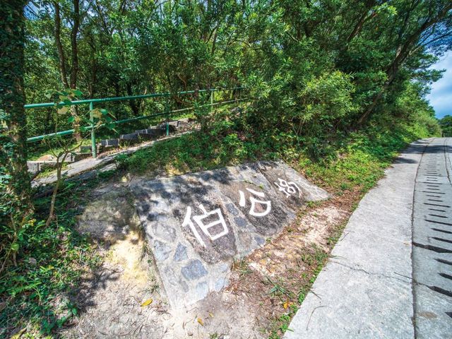 大東山：置身芒草花海，靜待落日晚霞