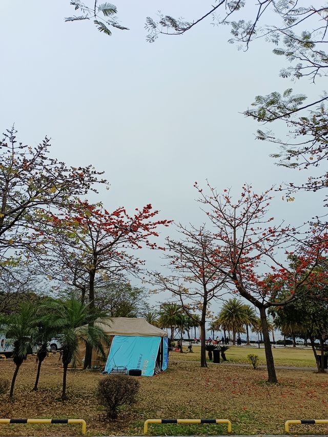 廣州最佳營地 | 海鷗島圍爐煮茶釣魚賞花