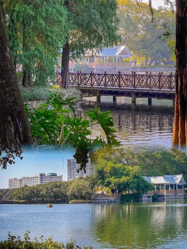 來廣州，總要去一趟流花湖公園