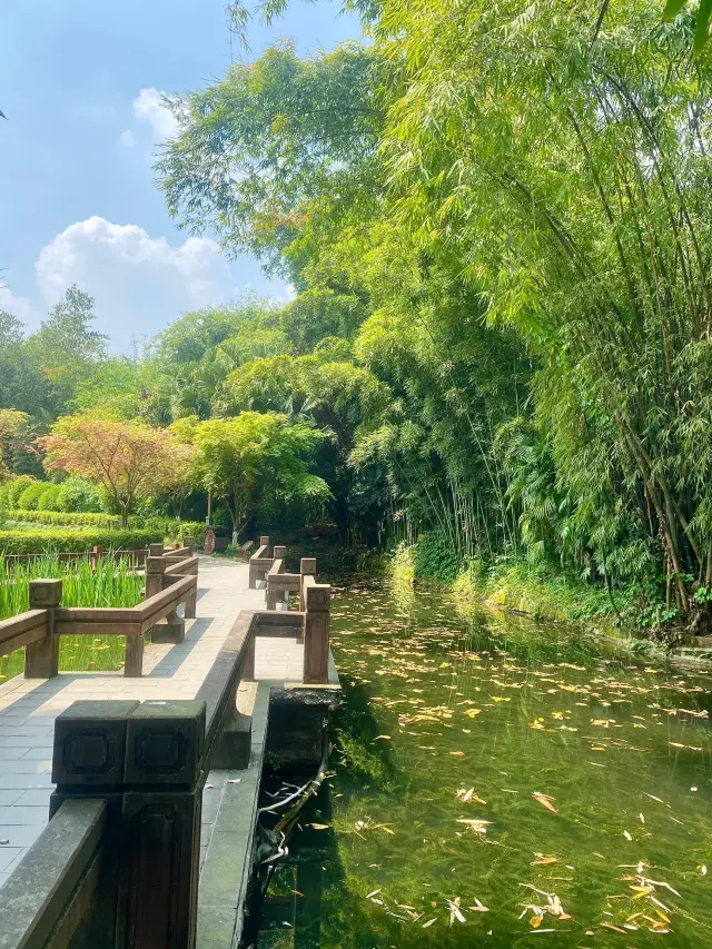 청두 주말 좋은 곳 | 왕강루 공원