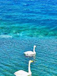 賽里木湖：夏季絕美旅行指南