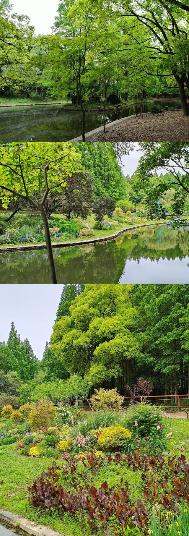 共青森林公園我的寶藏公園