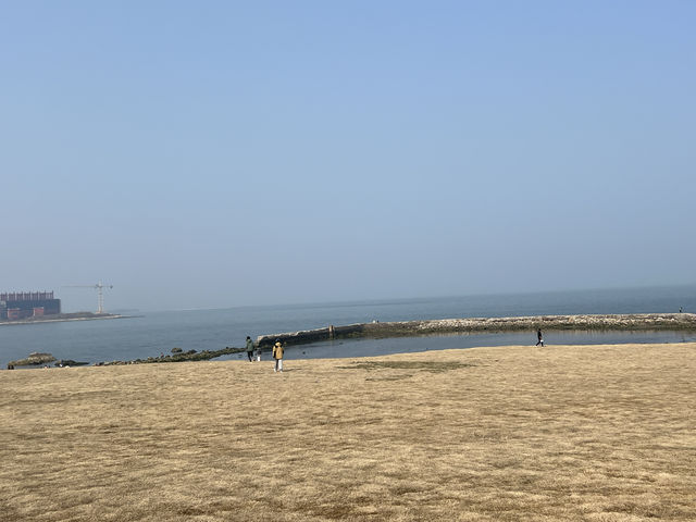 煙台｜除了看海，從所城裡走到朝陽路一路的風景