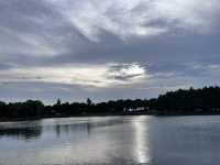真是寶藏地—人少景美的巴城生態濕地公園
