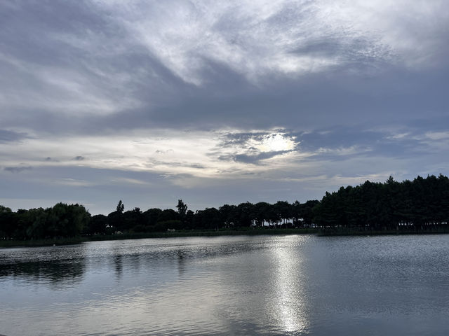 真是寶藏地—人少景美的巴城生態濕地公園