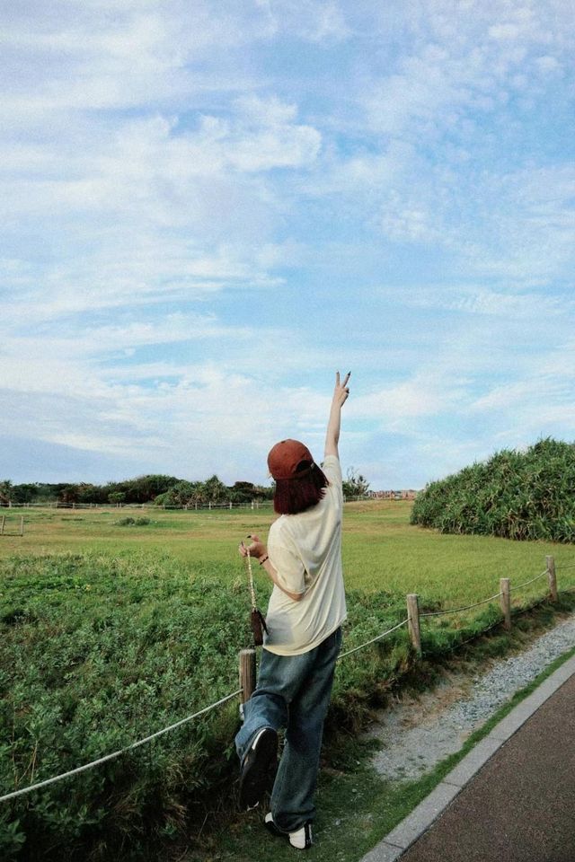 萬座毛|我的人生 亂寫也是滿分