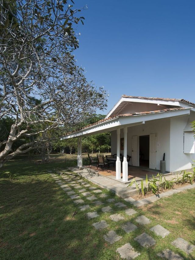 🌟 Bentota Bliss: Top Picks for a Serene Stay 🌊