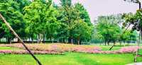閔行文化公園｜梅雨瀟瀟瀝瀝，公園鬱鬱蔥蔥