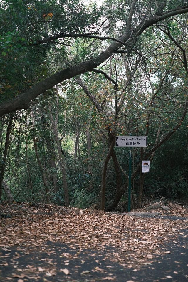 香港出行碎片｜坪洲島