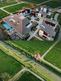 暑假·樹蛙部落我不愛學習，除非大自然教我