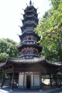 上海後花園，夏日避暑森林氧吧