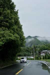 這個夏天總要來一趟莫干山吧